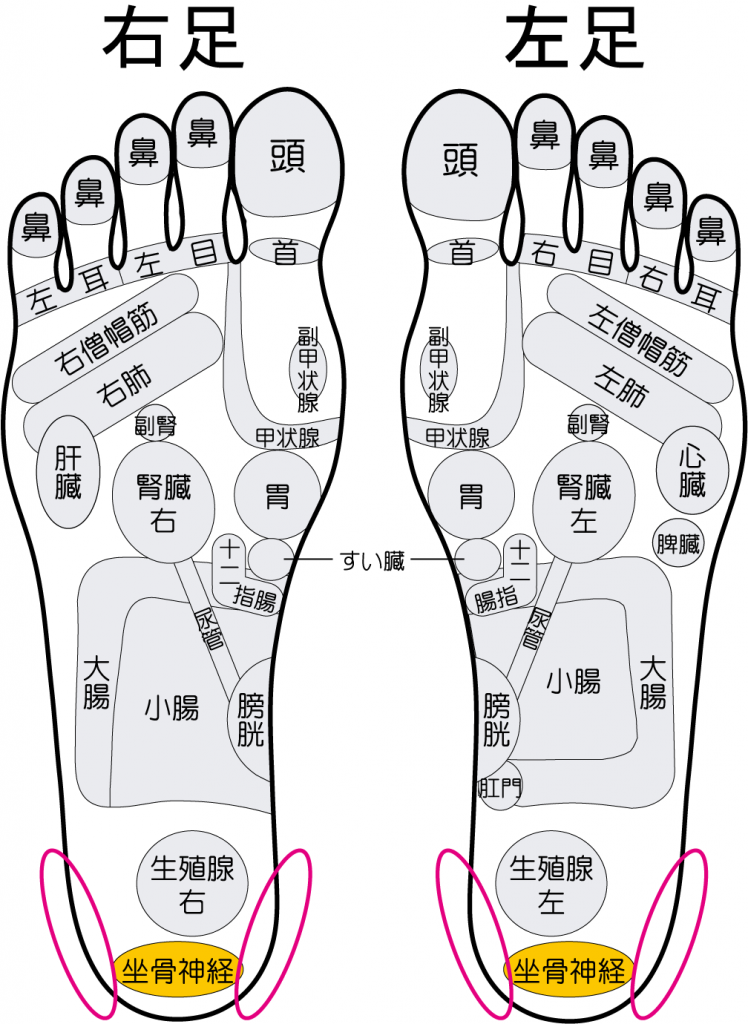 腰痛の足つぼ