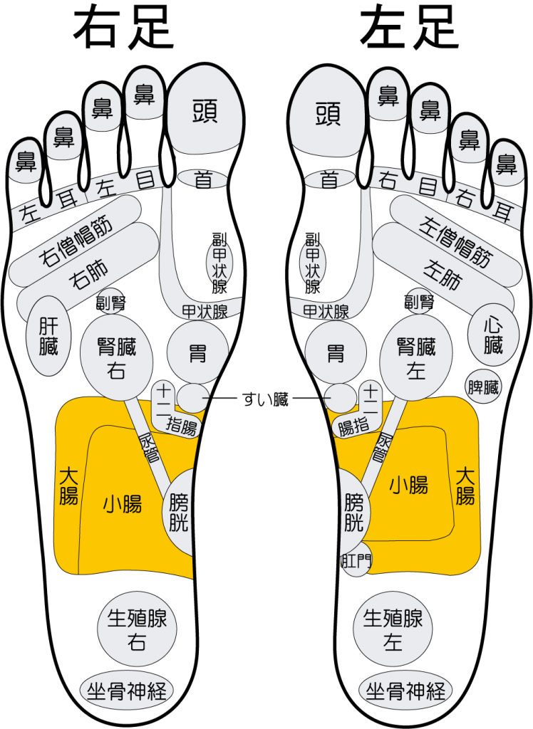 0以上 足つぼ 大腸 足ツボ 大腸