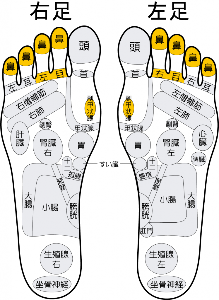 花粉症の足つぼ