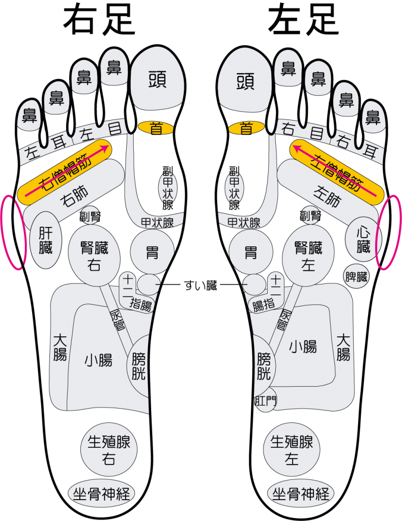 肩こりの足つぼ