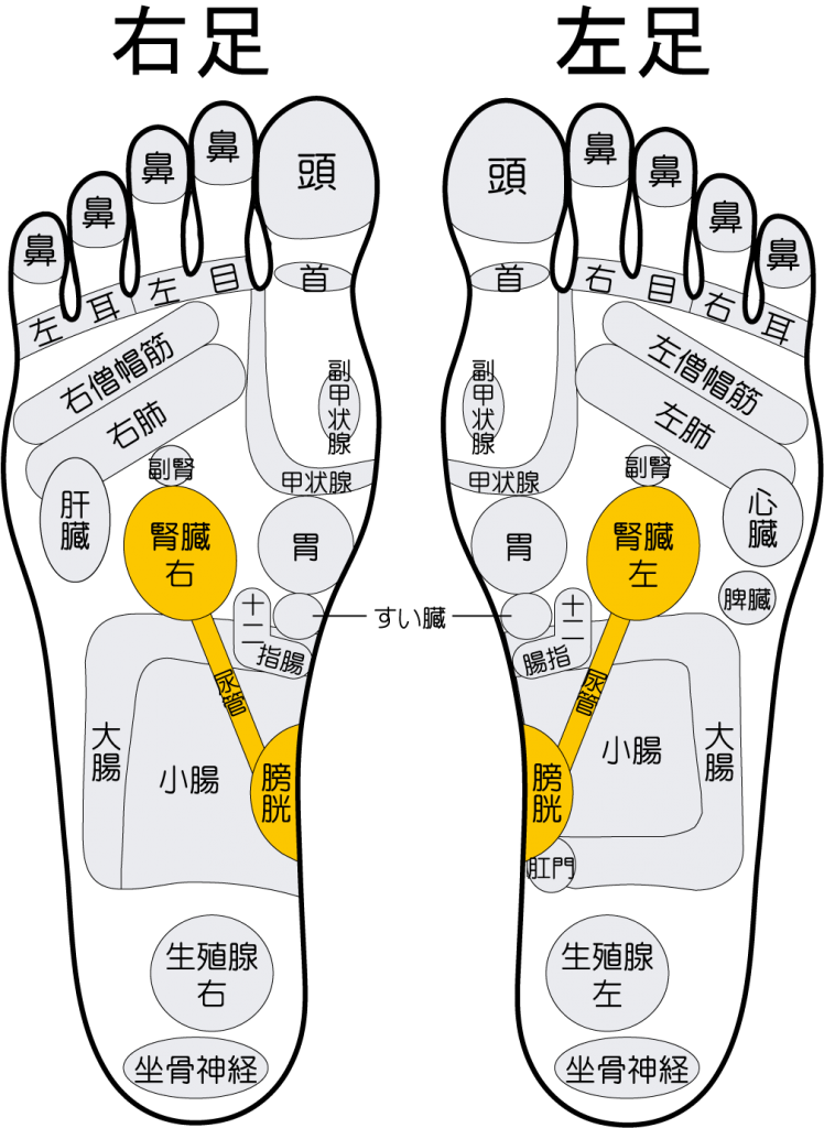 むくみの足つぼ 健康足すと 使い方マニュアル 株式会社ヒーリングサービス